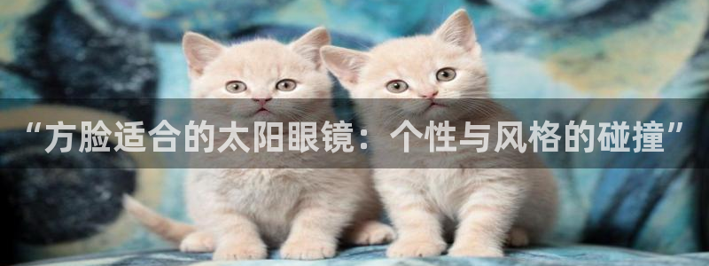 卧龙娱乐是哪个系列
