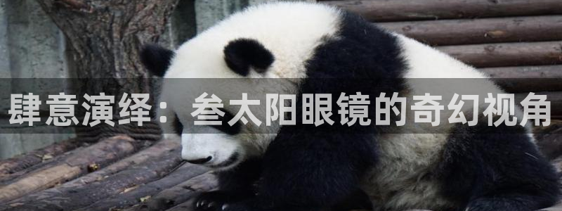 ta娱乐 卧龙主管60447