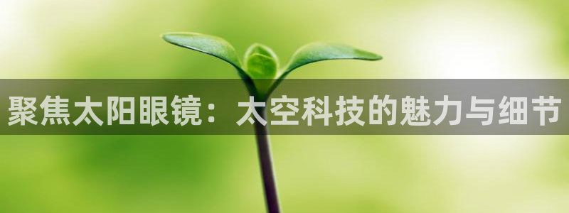 PT娱乐 扣卧龙60447