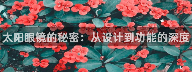 卧龙区休闲娱乐推荐