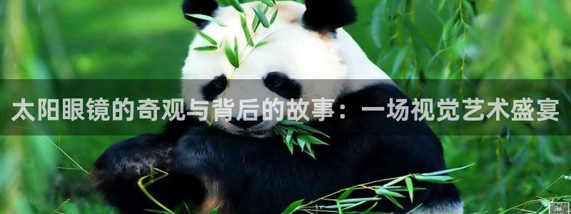 sky娱乐 扣卧龙60447