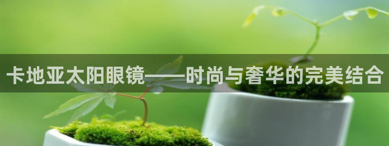 卧龙娱乐招商代理是谁