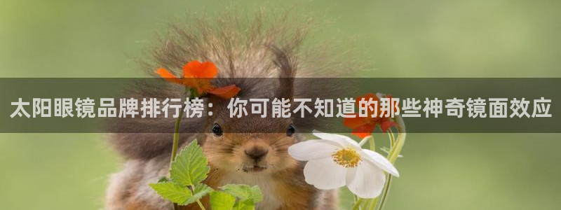 卧龙娱乐主管招聘