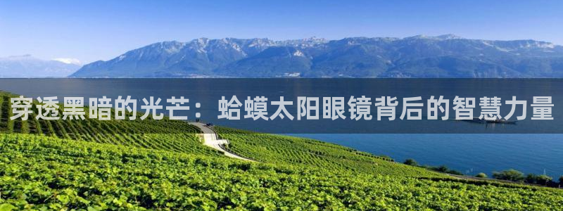 泰安卧龙大观娱乐中心