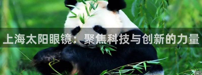 卧龙娱乐招商主管工资