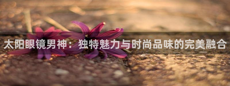 卧龙凤雏娱乐资讯