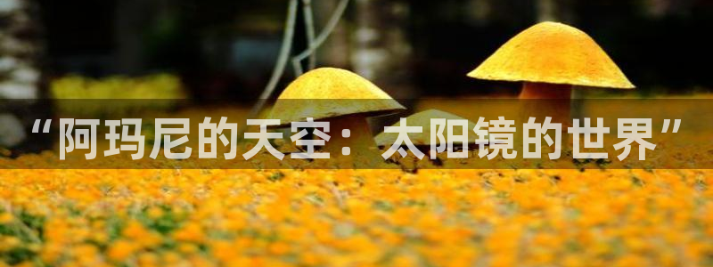 创亿娱乐d卧龙313322