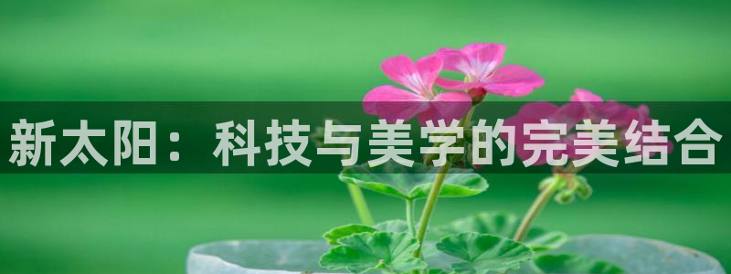 卧龙儿童娱乐海洋球