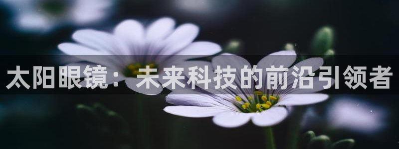 卧龙娱乐有限公司