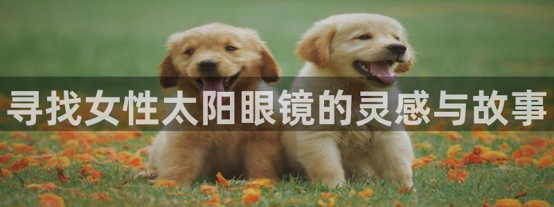 卧龙湾娱乐购票