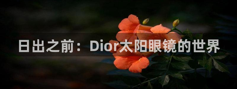 南阳卧龙站到尊上娱乐