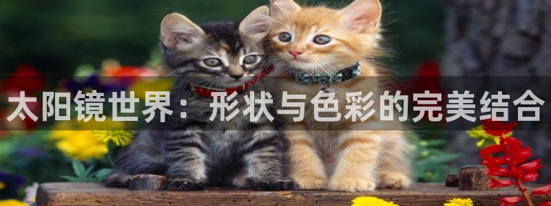 卧龙娱乐右7O667