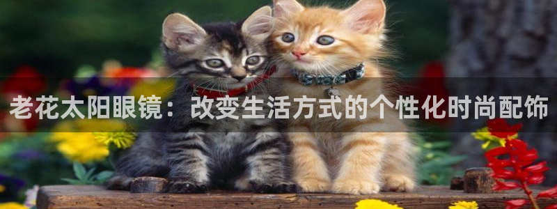 卧龙区娱乐设备