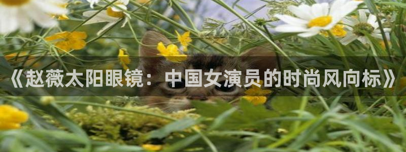 卧龙娱乐挂机平台