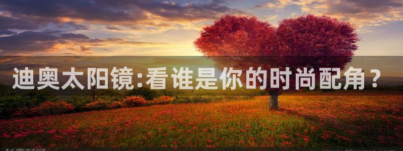 卧龙凤雏娱乐版