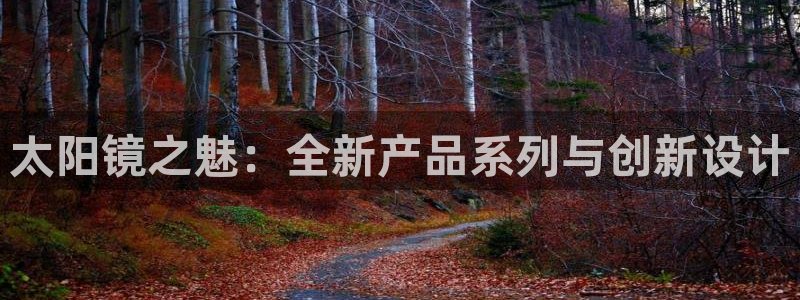 卧龙游乐娱乐设备