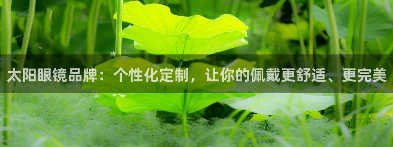 卧龙2神机娱乐代理