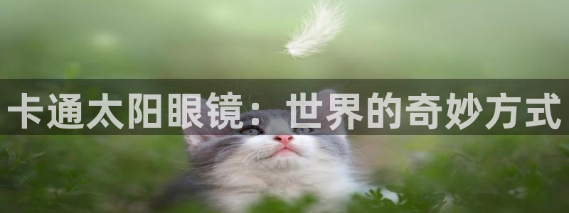 卧龙台球娱乐会所翔安