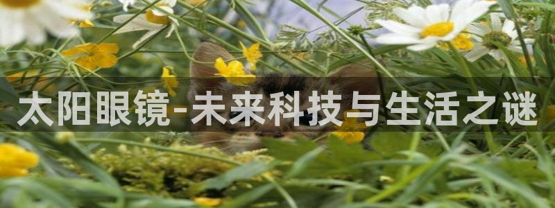 卧龙娱乐桐333OO