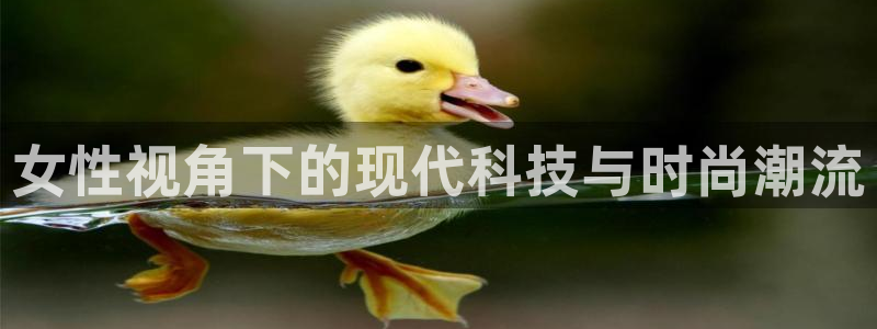 qq娱乐 卧龙主管60447