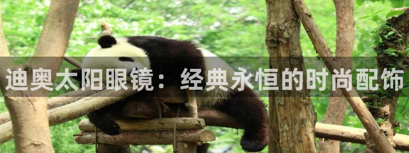 卧龙娱乐下7O667