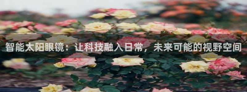 卧龙娱乐集团