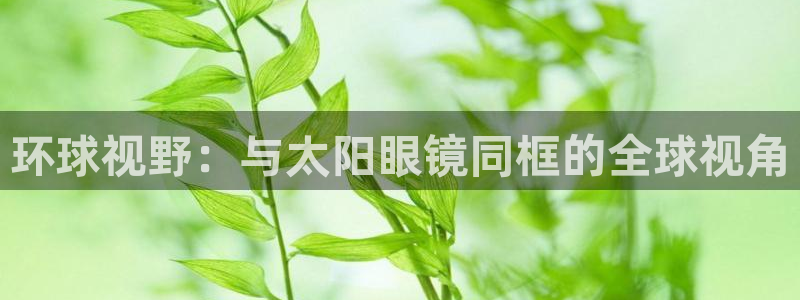 卧龙休闲娱乐优惠活动