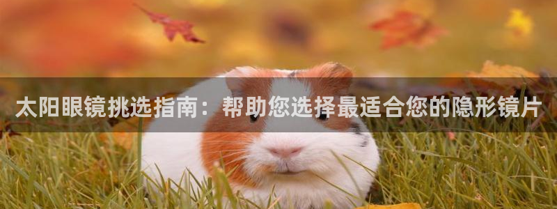卧龙区社交娱乐