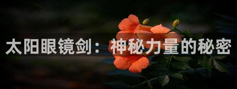 襄阳卧龙镇娱乐