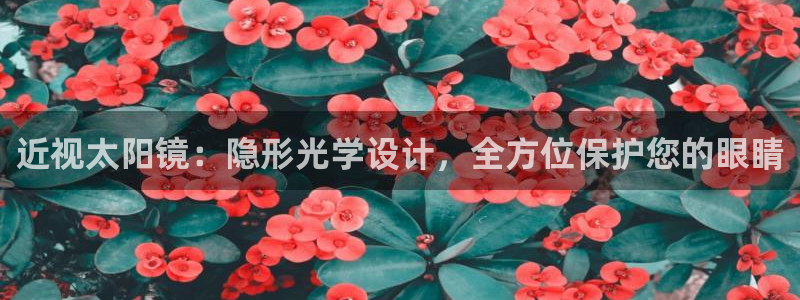 卧龙娱乐直播间