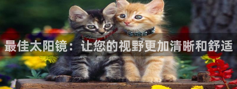 卧龙湾娱乐会所