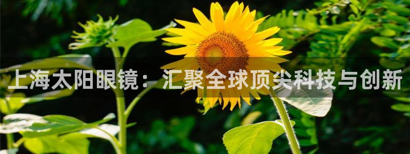 卧龙娱乐后
