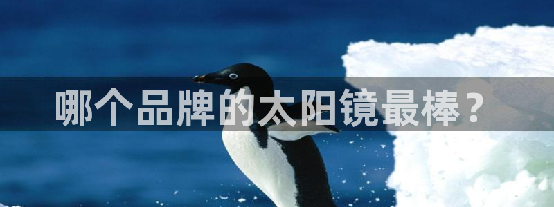卧龙休闲娱乐人气推荐