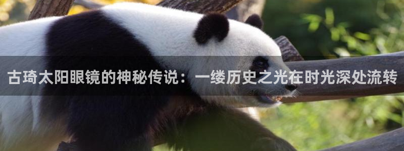 卧龙娱乐设备公司