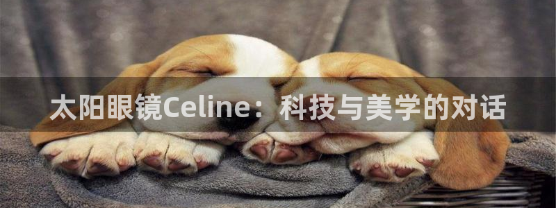 卧龙娱乐代理