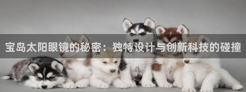 卧龙娱乐396667